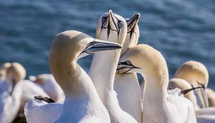 极速赛车-世界杯预选赛丨朱俊龙表现亮眼 中国男篮取得两连胜